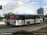 LOC - Locação Turismo e Fretamento 649 na cidade de Caruaru, Pernambuco, Brasil, por Lenilson da Silva Pessoa. Número da foto: #:id.