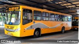Transportes Coletivos Nossa Senhora da Piedade 267 na cidade de Campo Largo, Paraná, Brasil, por Pedro Ricardo Rodrigues. Número da foto: #11739837.