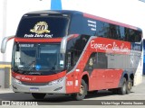 Expresso São Luiz 10200 na cidade de Goiânia, Goiás, Brasil, por Victor Hugo  Ferreira Soares. Número da foto: #11671593.