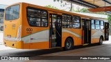 Transportes Coletivos Nossa Senhora da Piedade 600 na cidade de Campo Largo, Paraná, Brasil, por Pedro Ricardo Rodrigues. Número da foto: #11740615.