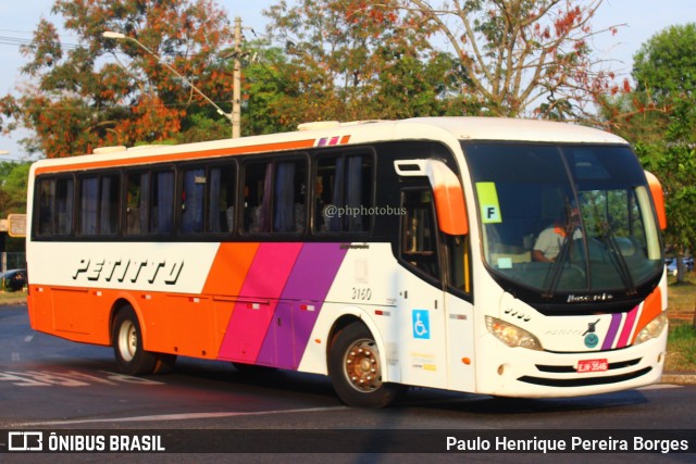 Transportadora Turística Petitto 3160 na cidade de Ribeirão Preto, São Paulo, Brasil, por Paulo Henrique Pereira Borges. Número da foto: #11684520.