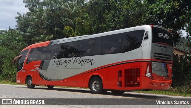 Empresa de Ônibus Pássaro Marron 5932 na cidade de Ubatuba, São Paulo, Brasil, por Vinícius Santos. Número da foto: #10833616.