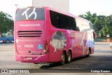 Transbrasiliana Transportes e Turismo 91302 na cidade de Goiânia, Goiás, Brasil, por Rodrigo Barraza. Número da foto: #10832188.