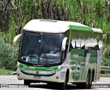 Pássaro Verde 11101 na cidade de Santos Dumont, Minas Gerais, Brasil, por Isaias Ralen. Número da foto: #:id.