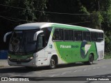 Pássaro Verde 11098 na cidade de Viçosa, Minas Gerais, Brasil, por Christian  Fortunato. ID da foto: :id.