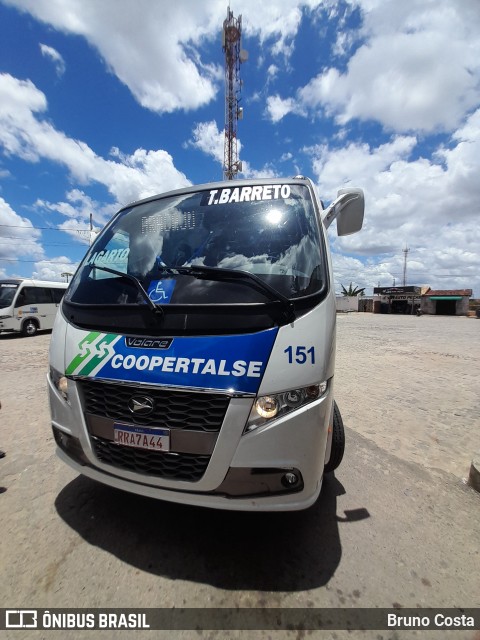 Coopertalse 151 na cidade de Salgado, Sergipe, Brasil, por Bruno Costa. ID da foto: 10861337.