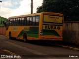 Dirontur 1317 na cidade de Campina do Monte Alegre, São Paulo, Brasil, por Pedro Leo. Número da foto: #10861650.