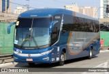 Bia Turismo > Aellos de Ouro 8214 na cidade de São Paulo, São Paulo, Brasil, por George Miranda. Número da foto: #:id.