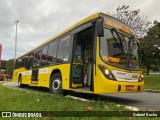 Viação Pioneira 223603 na cidade de Brasília, Distrito Federal, Brasil, por Gabriel Rocha. Número da foto: #10868345.