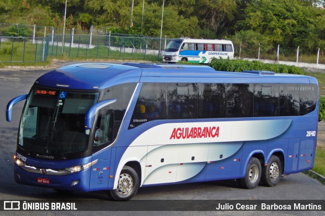 Viação Águia Branca 26410 na cidade de Aracaju, Sergipe, Brasil, por Julio Cesar  Barbosa Martins. Número da foto: #10871423.