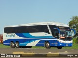 Gemifal 236 na cidade de Eldorado do Sul, Rio Grande do Sul, Brasil, por Shayan Lee. Número da foto: #10873105.