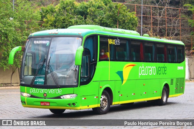 Pássaro Verde 29019 na cidade de Leopoldina, Minas Gerais, Brasil, por Paulo Henrique Pereira Borges. Número da foto: #10878469.
