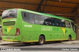 Pássaro Verde 15129 na cidade de Coimbra, Minas Gerais, Brasil, por Christian  Fortunato. Número da foto: #:id.