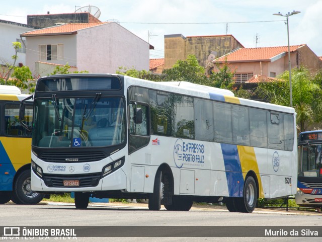 American Vans Transportes e Turismo 1501 na cidade de Porto Feliz, São Paulo, Brasil, por Murilo da Silva. Número da foto: #10882585.