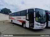 ViaSol Transportes Rodoviários 113061 na cidade de Araras, São Paulo, Brasil, por Rogerio Antunes. Número da foto: #10881247.