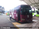 Caribeños  na cidade de San José, San José, Costa Rica, por Antonio Aburto. Número da foto: #10881116.