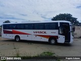 ViaSol Transportes Rodoviários 113061 na cidade de Araras, São Paulo, Brasil, por Rogerio Antunes. Número da foto: #10881246.