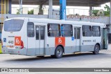 Borborema Imperial Transportes 443 na cidade de Recife, Pernambuco, Brasil, por Lucas Sousa. Número da foto: #10880629.
