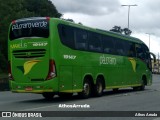 Pássaro Verde 19147 na cidade de Belo Horizonte, Minas Gerais, Brasil, por Athos Arruda. Número da foto: #:id.