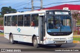 Embrapa 6758 na cidade de Passo Fundo, Rio Grande do Sul, Brasil, por Leandro Machado de Castro. Número da foto: #10887980.