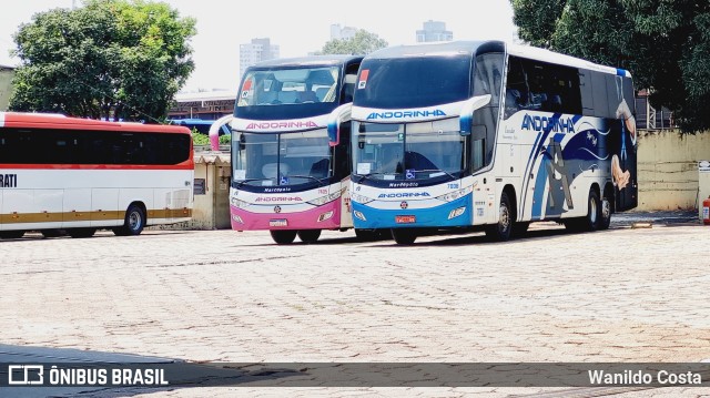 Empresa de Transportes Andorinha 7008 na cidade de Cuiabá, Mato Grosso, Brasil, por Wanildo Costa. ID da foto: 10891769.