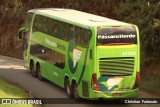 Pássaro Verde 12122 na cidade de Coimbra, Minas Gerais, Brasil, por Christian  Fortunato. Número da foto: #10892412.