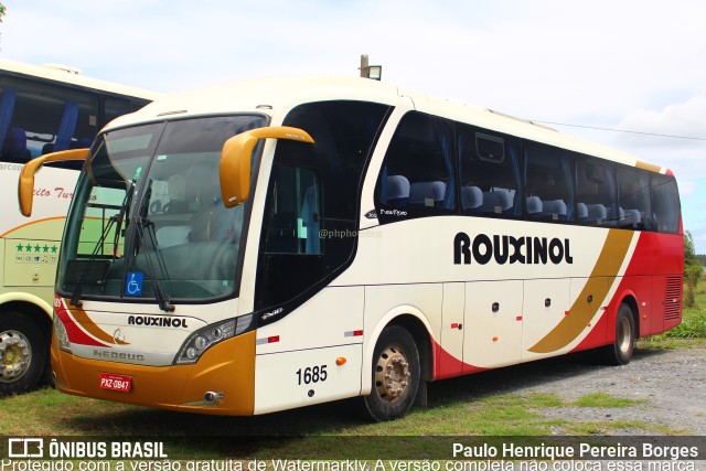 Rouxinol 1685 na cidade de Roseira, São Paulo, Brasil, por Paulo Henrique Pereira Borges. Número da foto: #10894347.