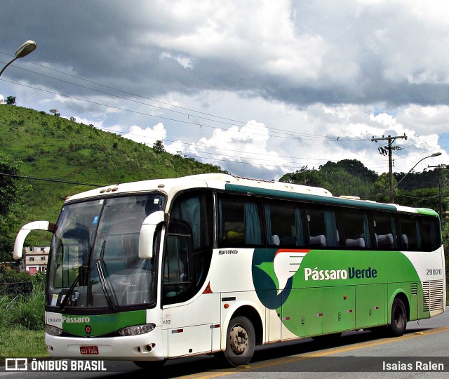 Pássaro Verde 29020 na cidade de Santos Dumont, Minas Gerais, Brasil, por Isaias Ralen. ID da foto: 10903201.