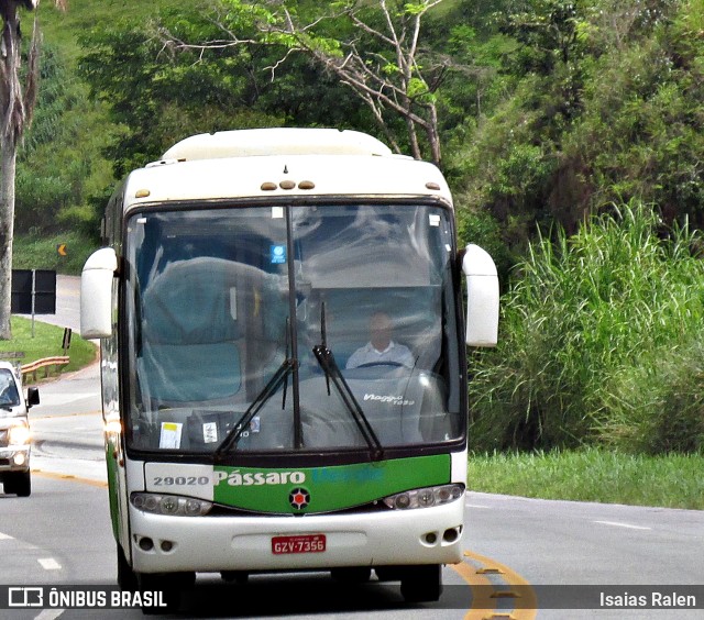 Pássaro Verde 29020 na cidade de Santos Dumont, Minas Gerais, Brasil, por Isaias Ralen. ID da foto: 10903203.