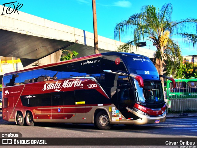 Santa Maria Fretamento e Turismo > Transportes Santa Maria(SP) 1300 na cidade de Belo Horizonte, Minas Gerais, Brasil, por César Ônibus. Número da foto: #10902000.