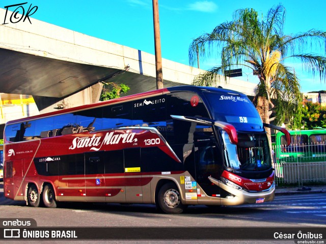 Santa Maria Fretamento e Turismo 1300 na cidade de Belo Horizonte, Minas Gerais, Brasil, por César Ônibus. ID da foto: 10902000.