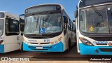 Transnova 1171 na cidade de Nova Serrana, Minas Gerais, Brasil, por Anderson Gabriel. Número da foto: #10907983.