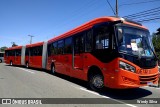 Viação Cidade Sorriso >> Viação Sorriso de Curitiba GE732 na cidade de Curitiba, Paraná, Brasil, por Windy Silva. Número da foto: #10905516.