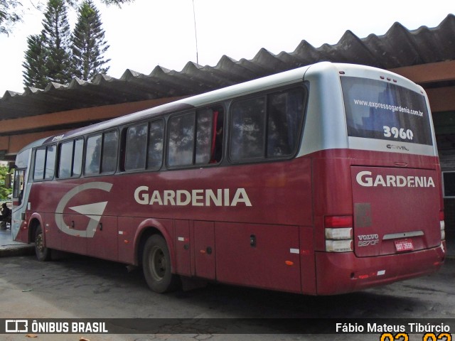 Expresso Gardenia 3960 na cidade de Três Corações, Minas Gerais, Brasil, por Fábio Mateus Tibúrcio. Número da foto: #10838089.