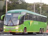 Pássaro Verde 19147 na cidade de Belo Horizonte, Minas Gerais, Brasil, por Joase Batista da Silva. Número da foto: #:id.