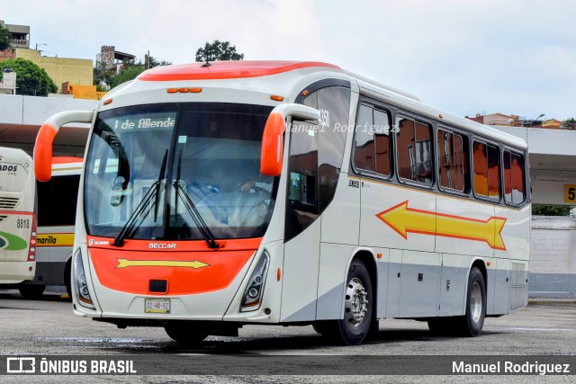 Flecha Amarilla 4350 na cidade de San Miguel de Allende, Guanajuato, México, por Manuel Rodriguez. Número da foto: #10841924.