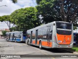 TRANSPPASS - Transporte de Passageiros 8 1246 na cidade de São Paulo, São Paulo, Brasil, por Vanderci Valentim. Número da foto: #:id.