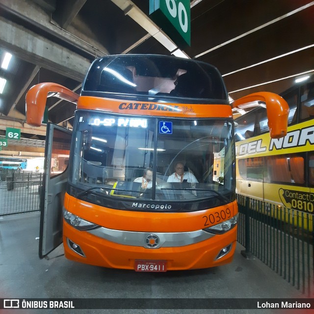 Catedral Turismo 20309 na cidade de São Paulo, São Paulo, Brasil, por Lohan Mariano. Número da foto: #10850149.