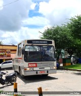 Borborema Imperial Transportes A008 na cidade de Ribeirão, Pernambuco, Brasil, por Luiz Fellipe. Número da foto: #10851001.