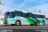 AdeO - Autobuses de Occidente 447 na cidade de Celaya, Guanajuato, México, por Omar Ramírez Thor2102. Número da foto: #10848991.