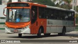 TRANSPPASS - Transporte de Passageiros 8 0307 na cidade de São Paulo, São Paulo, Brasil, por cle giraldi. Número da foto: #:id.