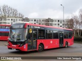 Metroline DEL2265 na cidade de London, Greater London, Inglaterra, por Fábio Takahashi Tanniguchi. Número da foto: #10942546.