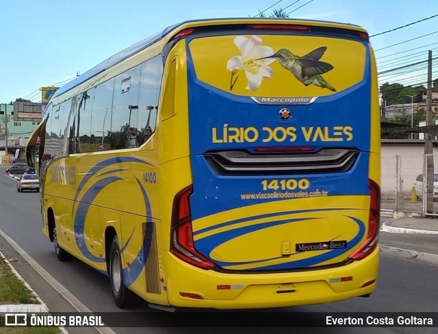 Viação Lírio dos Vales 14100 na cidade de Cariacica, Espírito Santo, Brasil, por Everton Costa Goltara. Número da foto: #10944451.