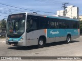Auto Ônibus Fagundes RJ 101.202 na cidade de Niterói, Rio de Janeiro, Brasil, por Luiz Eduardo Lopes da Silva. Número da foto: #10946730.