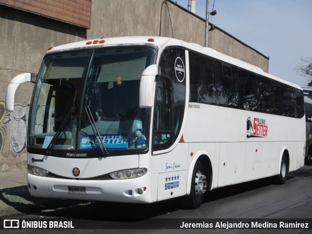 Pullman Setter  na cidade de Santiago, Santiago, Metropolitana de Santiago, Chile, por Jeremias Alejandro Medina Ramirez. Número da foto: #10953541.