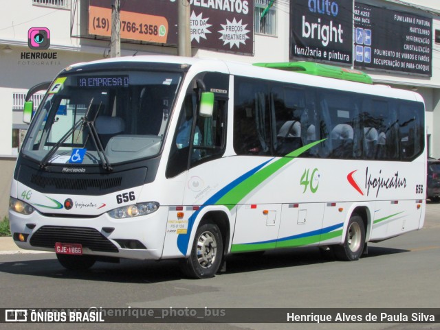 Ipojucatur 656 na cidade de Holambra, São Paulo, Brasil, por Henrique Alves de Paula Silva. ID da foto: 10957321.