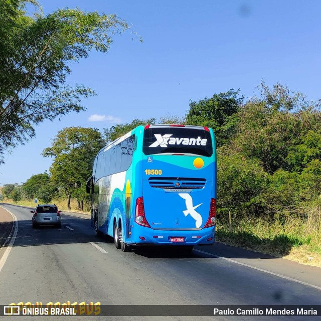 Viação Xavante 19500 na cidade de Goiânia, Goiás, Brasil, por Paulo Camillo Mendes Maria. Número da foto: #10956923.