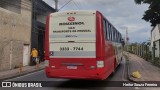 Rouxinol 388 na cidade de Contagem, Minas Gerais, Brasil, por Heitor Souza Ferreira. ID da foto: :id.