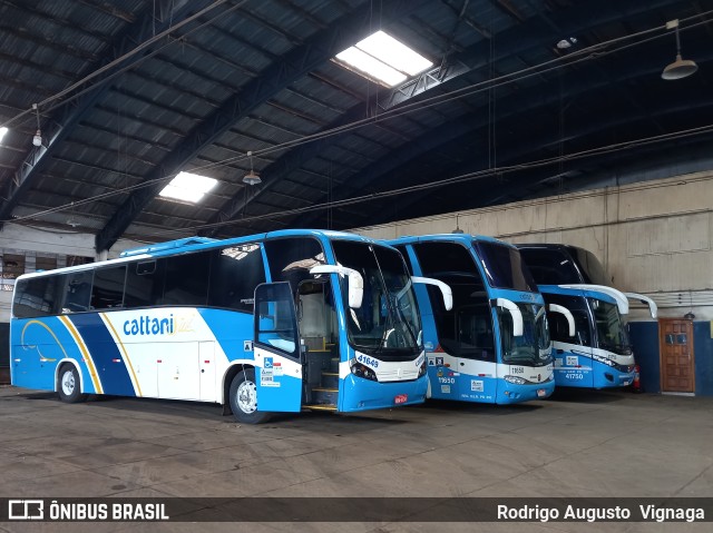 Cattani Sul Transportes e Turismo 41649 na cidade de Pato Branco, Paraná, Brasil, por Rodrigo Augusto  Vignaga. Número da foto: #10962728.