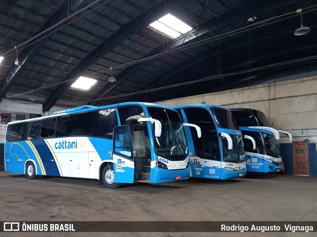 Cattani Sul Transportes e Turismo 41649 na cidade de Pato Branco, Paraná, Brasil, por Rodrigo Augusto  Vignaga. ID da foto: 10962728.